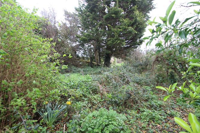 Site at The Green, Curraghbinny, Carrigaline, Cork