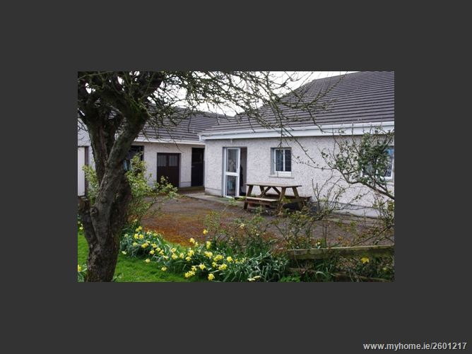 FOREST VIEW STUD, MOUNTRICE, Monasterevin, Kildare