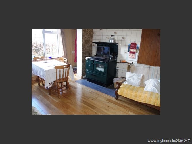 FOREST VIEW STUD, MOUNTRICE, Monasterevin, Kildare