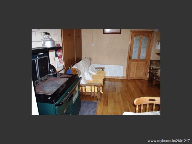 FOREST VIEW STUD, MOUNTRICE, Monasterevin, Kildare