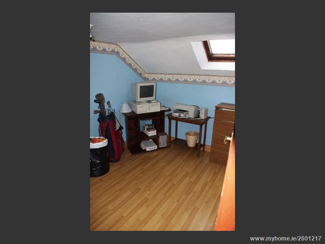 FOREST VIEW STUD, MOUNTRICE, Monasterevin, Kildare