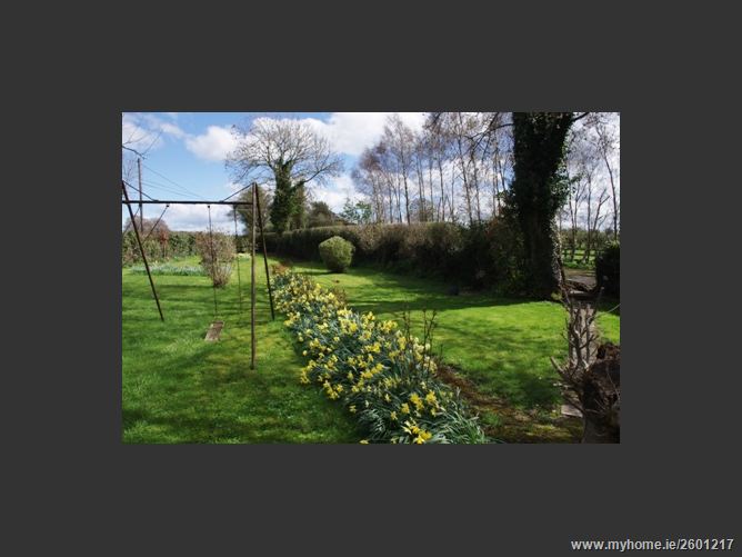 FOREST VIEW STUD, MOUNTRICE, Monasterevin, Kildare