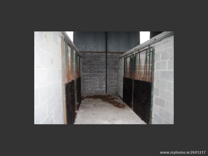 FOREST VIEW STUD, MOUNTRICE, Monasterevin, Kildare