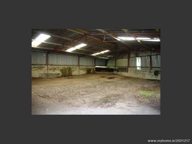 FOREST VIEW STUD, MOUNTRICE, Monasterevin, Kildare