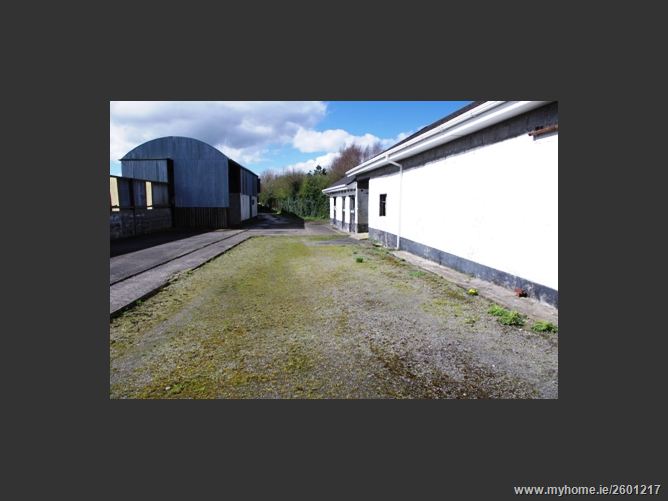 FOREST VIEW STUD, MOUNTRICE, Monasterevin, Kildare