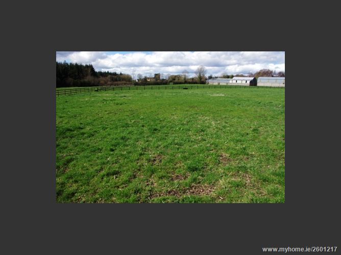 FOREST VIEW STUD, MOUNTRICE, Monasterevin, Kildare
