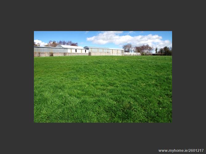 FOREST VIEW STUD, MOUNTRICE, Monasterevin, Kildare