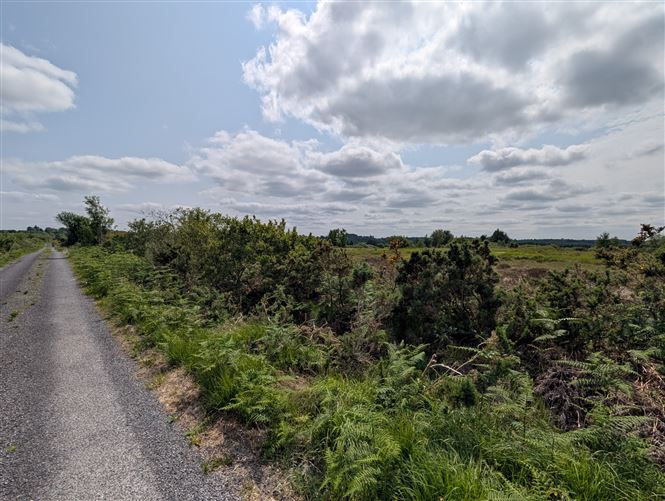 Drumshinnagh, Swinford, Co. Mayo