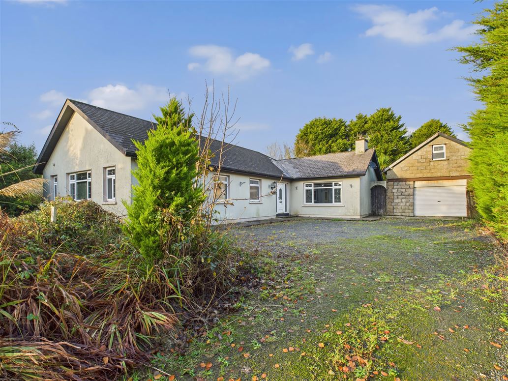 The Dirr, Shelmalier Commons, Murrintown, Wexford