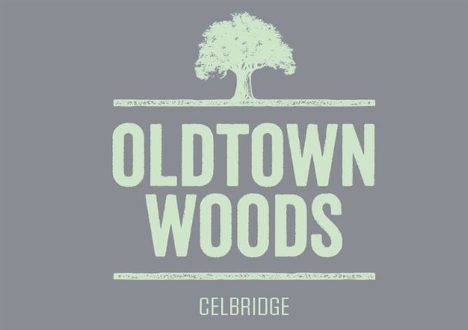 Oldtown Woods, Celbridge, Kildare