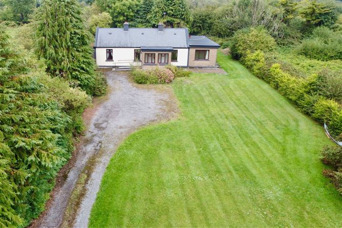 Bog Road, Coosan, Athlone, Co. Westmeath