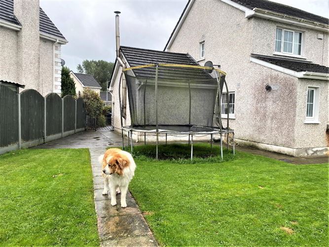 21 Slaney Bank Avenue, Rathvilly, Carlow