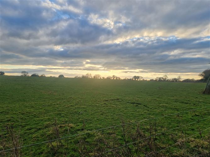 Ballynakill, Broadford, Kildare John Coyne Estates 4768317 MyHome