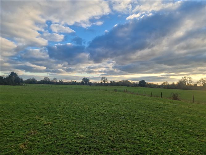 Ballynakill, Broadford, Kildare John Coyne Estates 4768317 MyHome