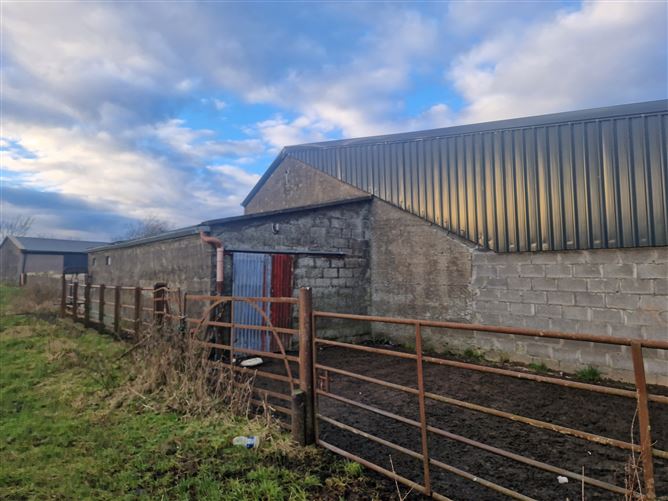 Ballynakill, Broadford, Kildare John Coyne Estates 4768317 MyHome