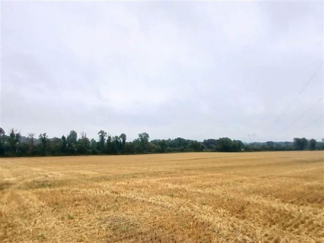 Photo 6 of 8 — 32.6 Acres Ballygibbon East, Carbury, County Kildare