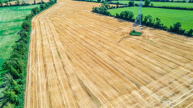 32.6 Acres Ballygibbon East, Carbury, County Kildare