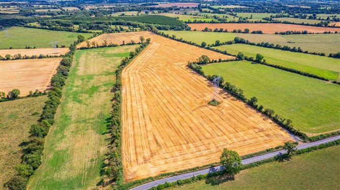 32.6 Acres Ballygibbon East, Carbury, County Kildare