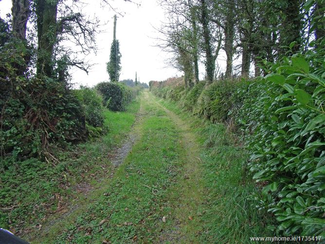 Dromacullen, Bealnamorrive, Macroom, Co. Cork