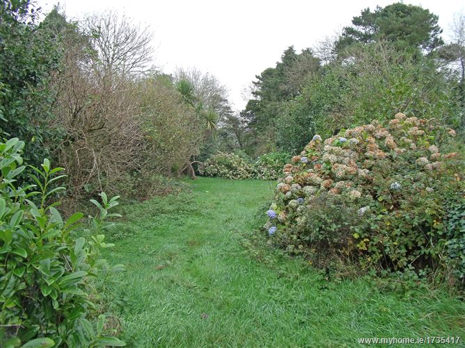 Dromacullen, Bealnamorrive, Macroom, Co. Cork