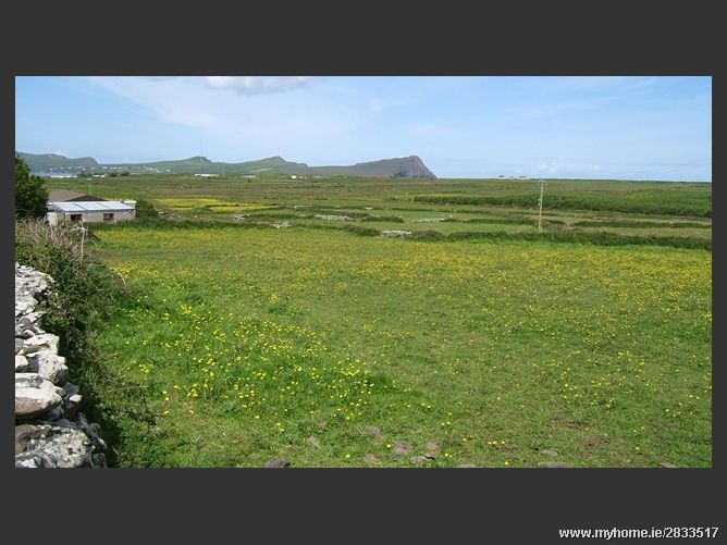 Ballylusky, Ballydavid, Kerry