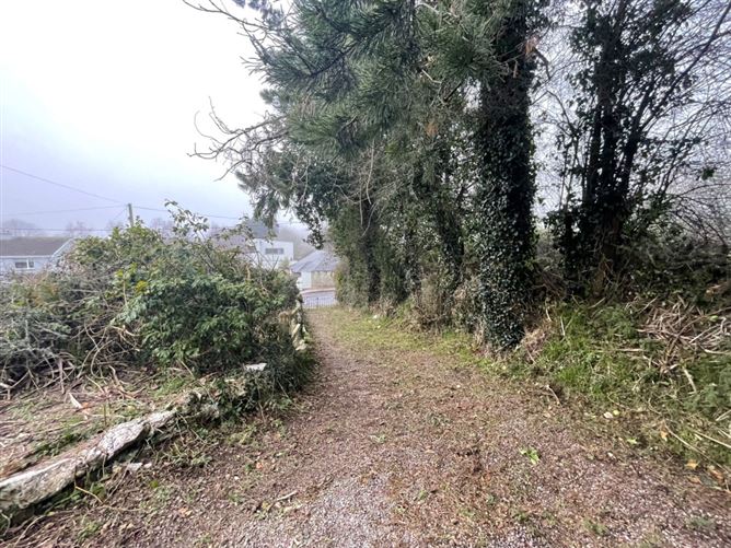 Derlide, Flynn's Cross, Flynn's Road, Ballincollig, Cork