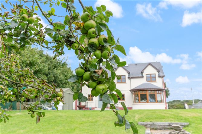 Mistletoe Lodge, Cloverhill, Knocknahur, Sligo