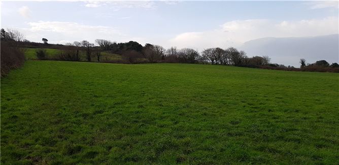Shanaway, Tarbert, Co. Kerry