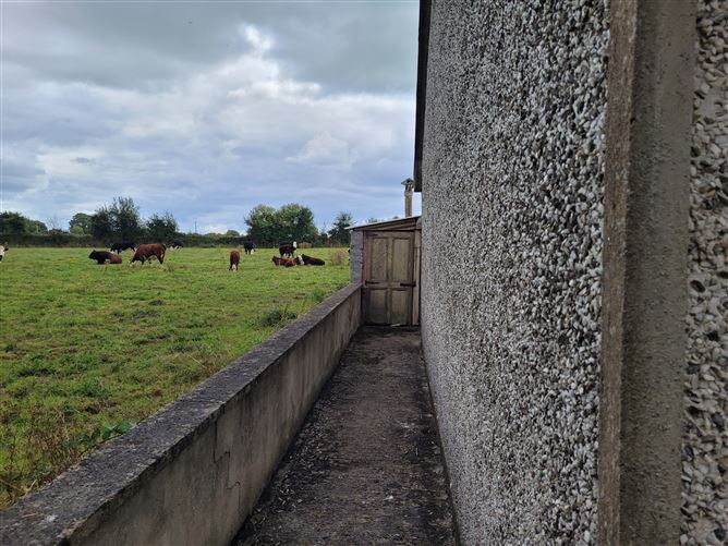 Kilcullane, Bruff, Limerick