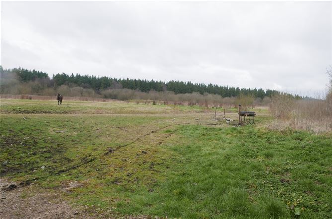 Clonshannon, Clonsast Upper, Bracknagh, Offaly