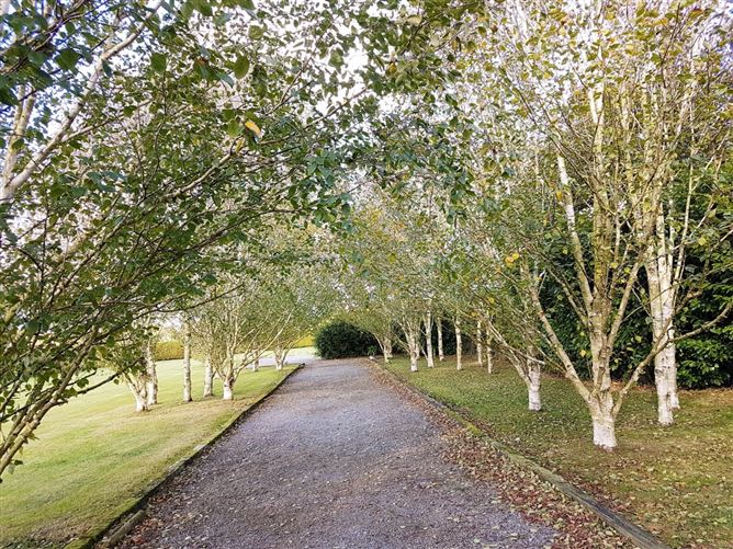 Kilmorony, Barrowhouse, Athy, Co. Kildare