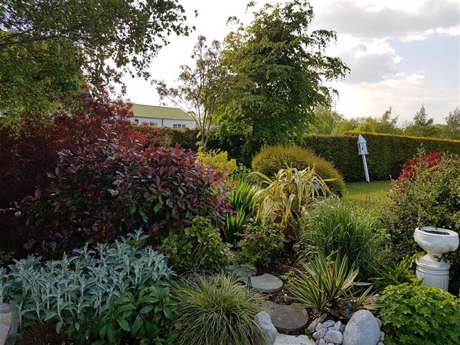 Kilmorony, Barrowhouse, Athy, Co. Kildare