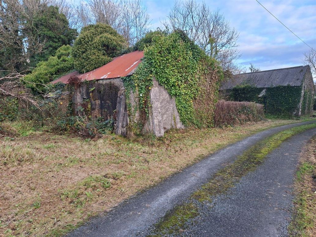 Shanaghmoyle, Knock, Mayo