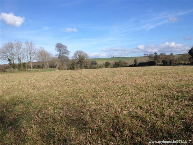 Derelict Cottage on c. 6.3 Acres, Grange Con, Wicklow