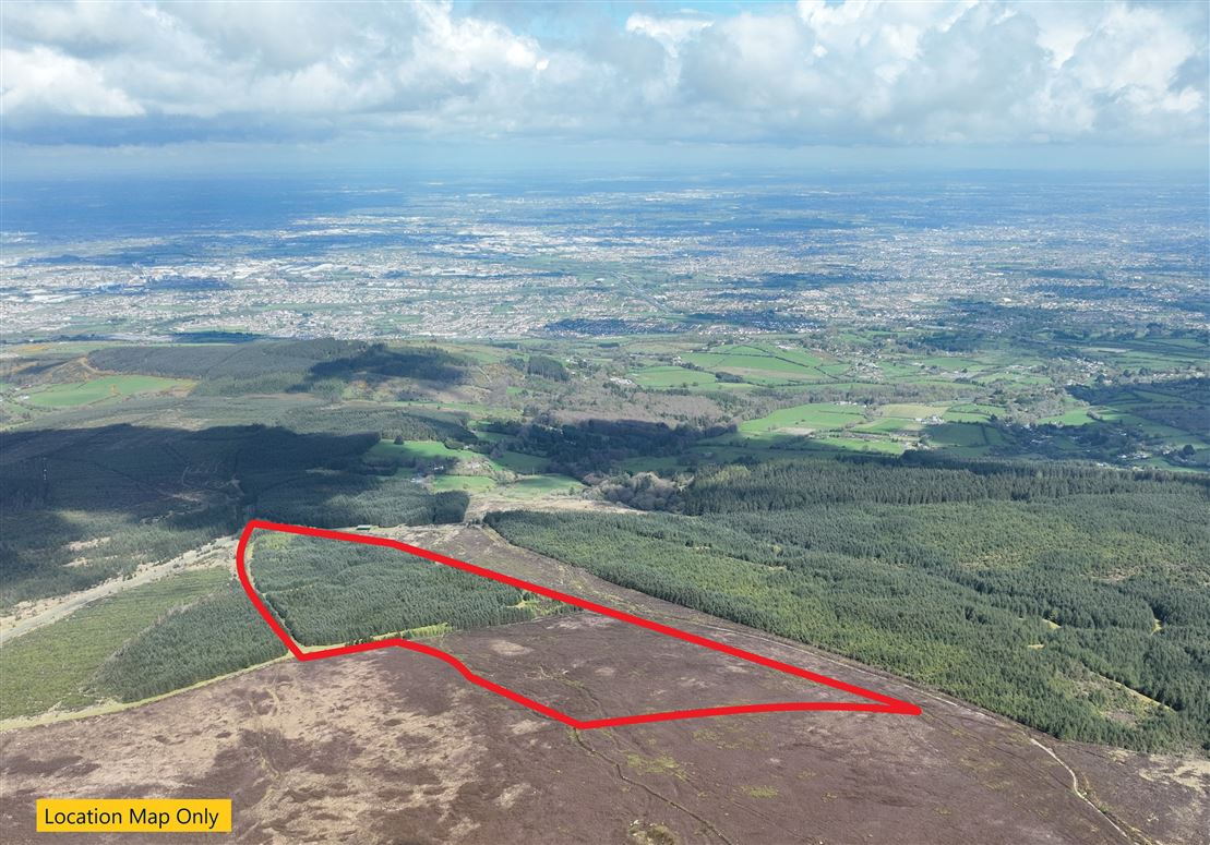 Mature Forestry Plantation c. 46.4 Acres, Killakee, Rathfarnham, Dublin 16