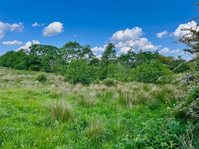 Land At Poll Na Cloiche, Moycullen, Co. Galway