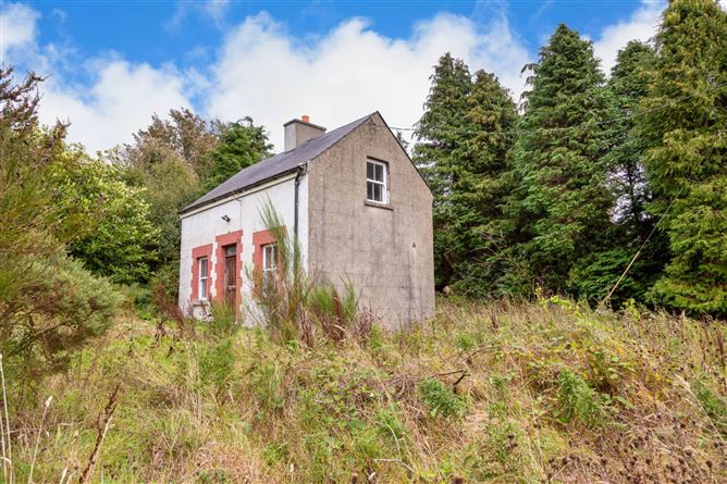 Greenan More, Rathdrum, Wicklow, County Wicklow