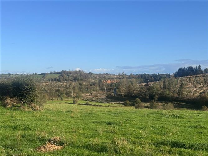 Tirlahode Upper (CN7278f), Cavan, County Cavan