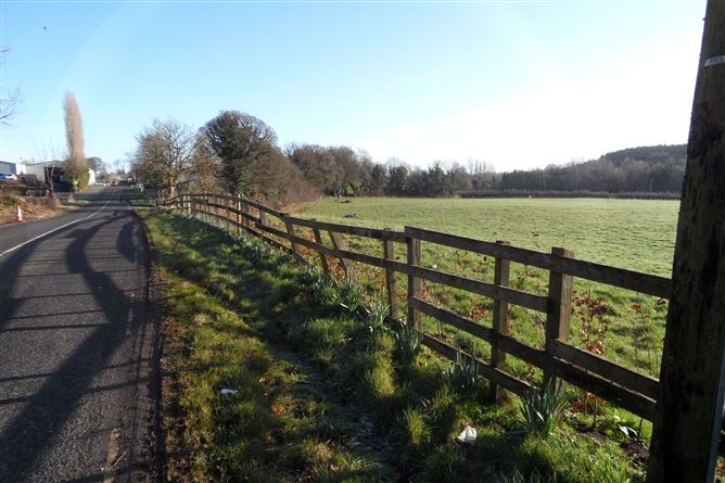 c.12.02acres at Hillhall, Glaslough, Monaghan