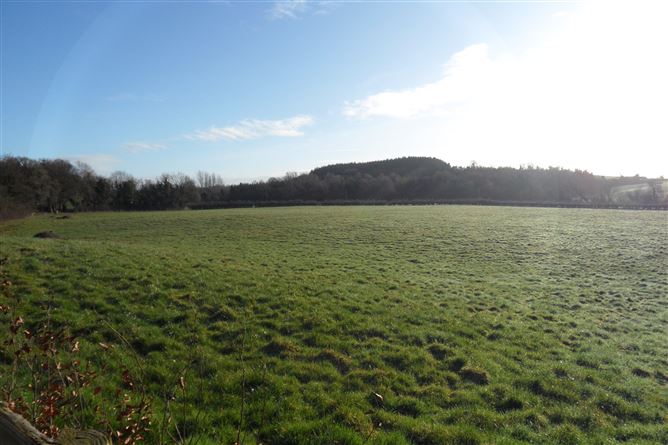 c.12.02acres at Hillhall, Glaslough, Monaghan