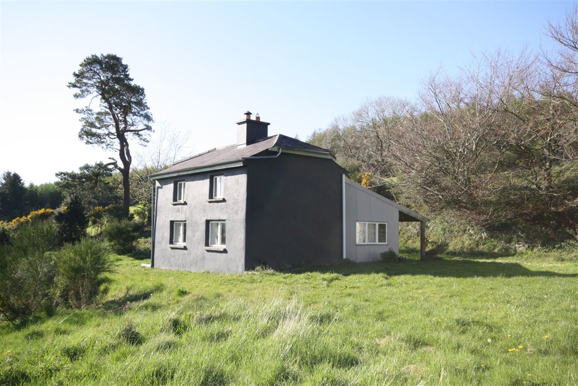 Drumderry Lodge, Bunclody, Co.Wexford.