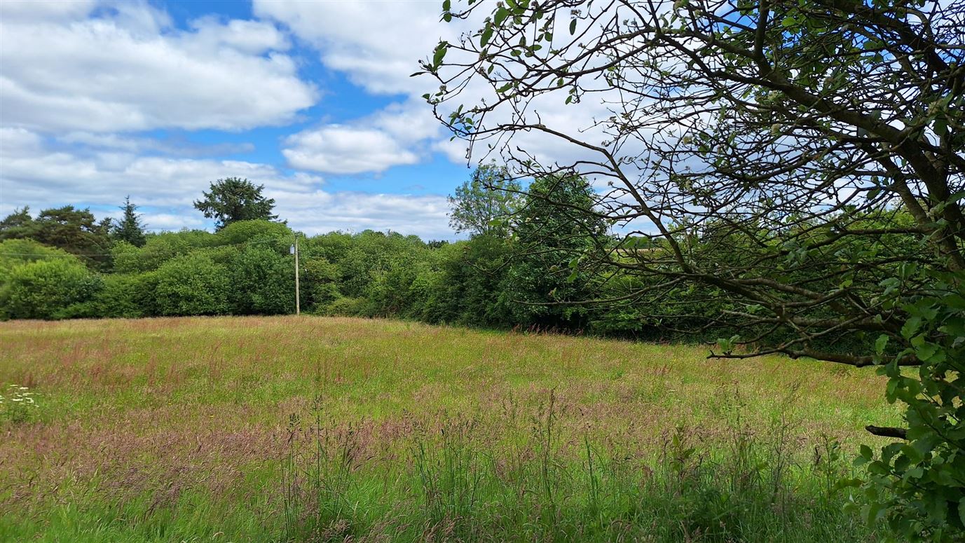 Land at Bridgestown, Inniscarra, Cork