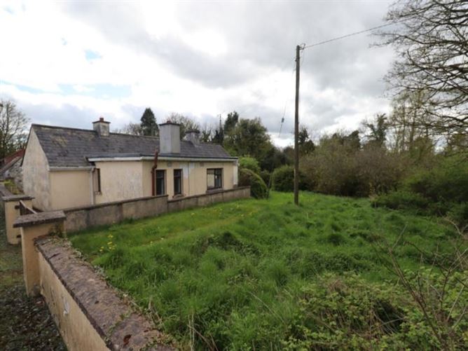 Rasillagh, Oldcastle, Co. Meath , MHOLDC