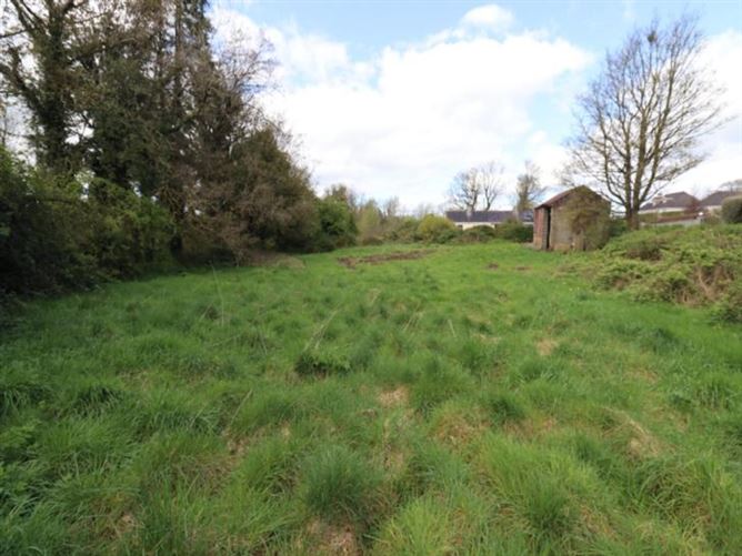 Rasillagh, Oldcastle, Co. Meath , MHOLDC
