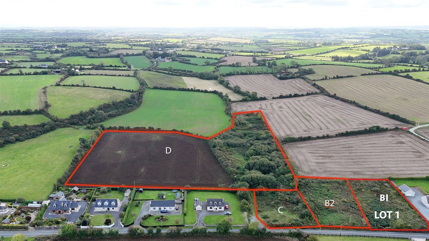 Lot 1, Killesk, Campile, New Ross, Co. Wexford