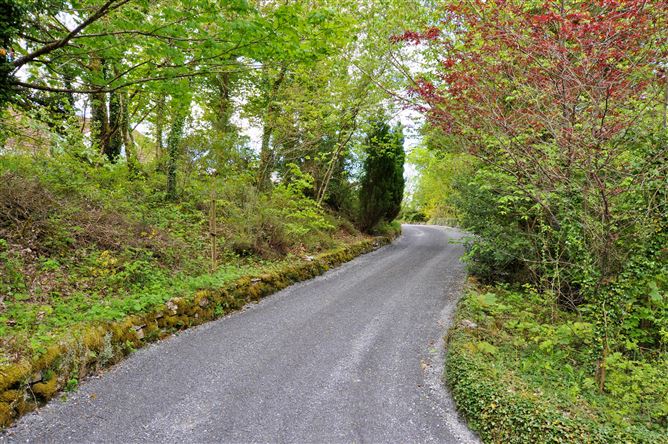 Gortachalla, Moycullen, Galway
