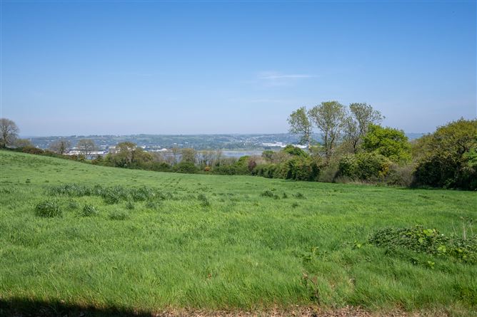 Woodview, Meadowlands, Upper Rochestown, Rochestown, Cork