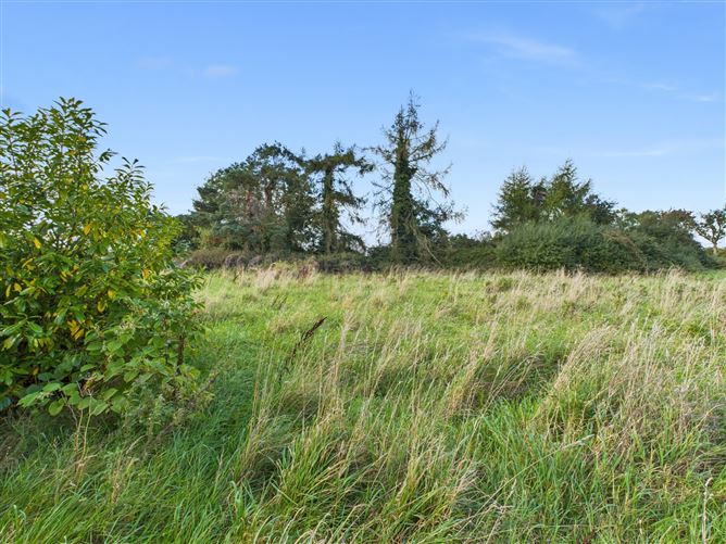 Sheeaun, Boula, Portumna, Co. Galway
