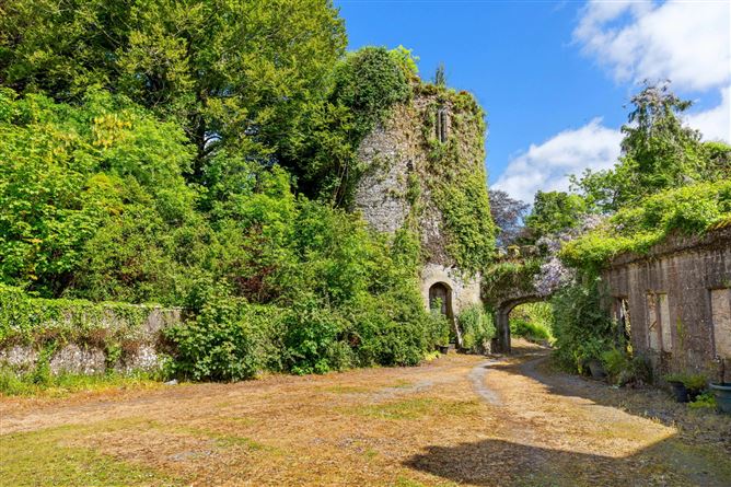 Photo 20 of 36 — Ardfinnan Castle, Ardfinnan, County Tipperary