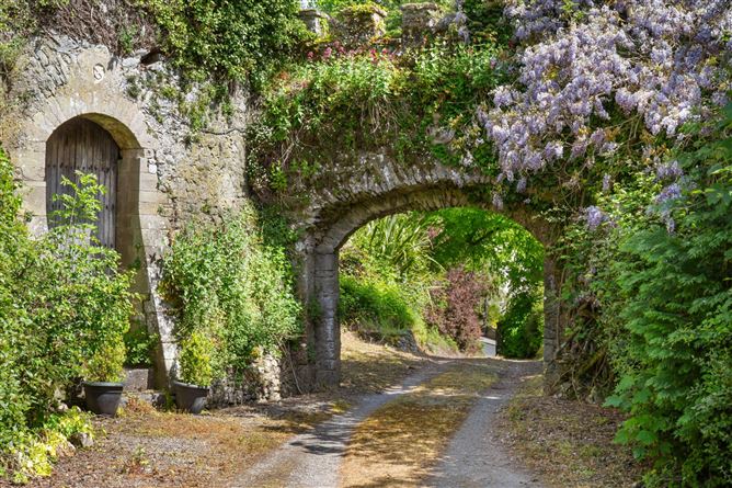 Photo 21 of 36 — Ardfinnan Castle, Ardfinnan, County Tipperary